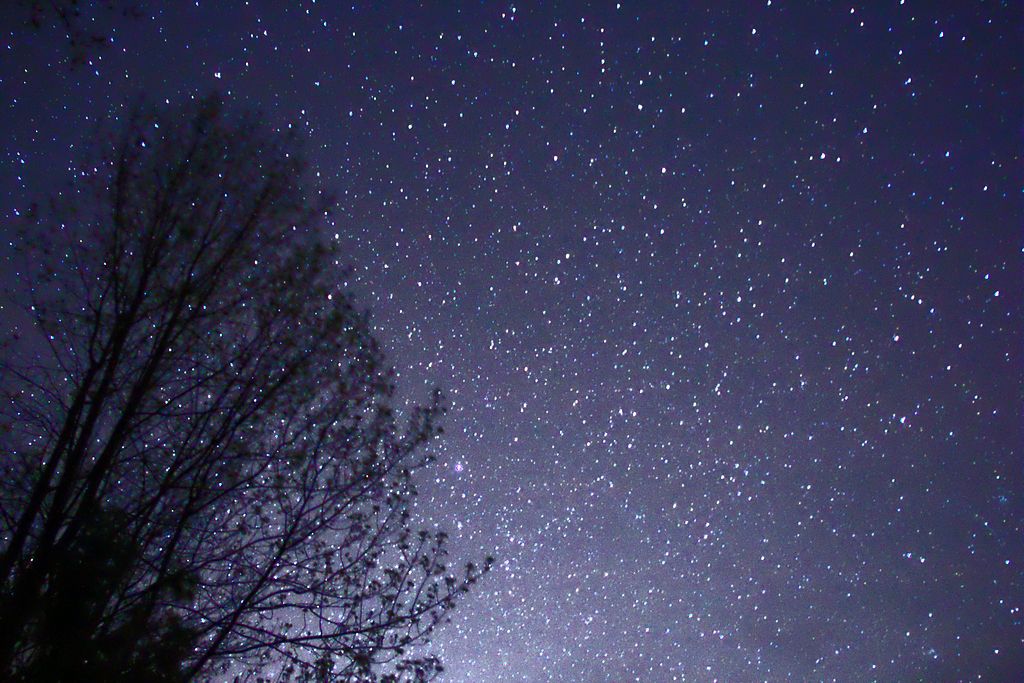 1024px-Night_Sky_Stars_Trees_02