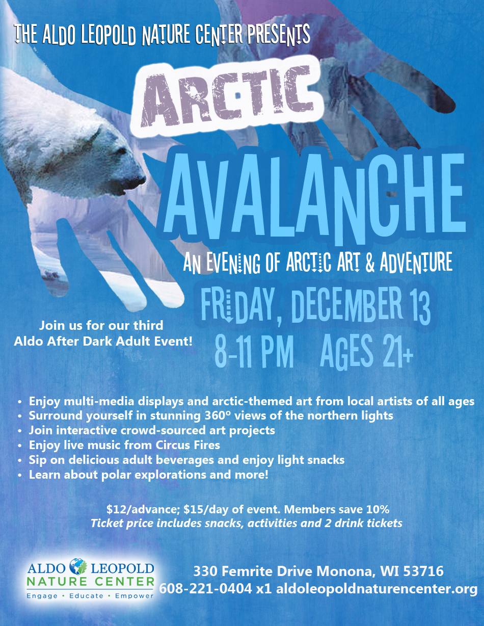Arctic Avalanche - flyer