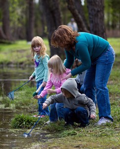 Kids dipping