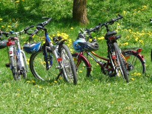 bicycles-family