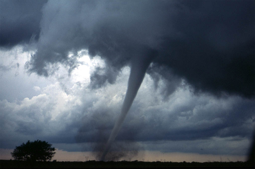 A tornado touching down near Anadarko, Oklahoma (Wikimedia)
