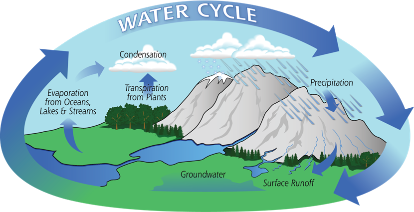 water cycle