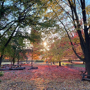 Sunset during fall