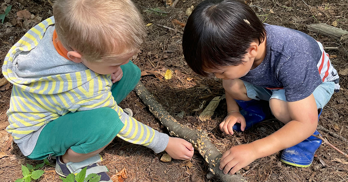 Aldo Leopold Nature Preschool - Aldo Leopold Nature Center