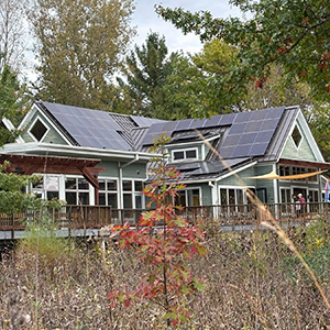 4yo with caterpillar rs